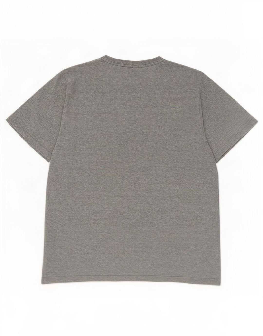 Męski T-shirt Dickies z grafiką, duży, szary, bawełniany