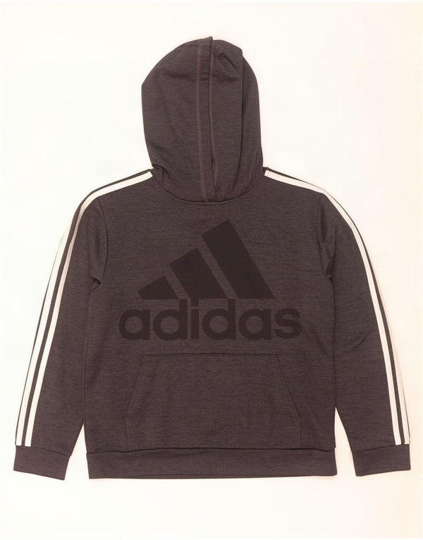 Chłopięca bluza z kapturem Adidas z grafiką 12-13 lat, duża, szara, poliester