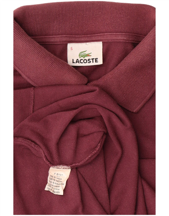 Męska koszulka polo LACOSTE, rozmiar 5, duża, bordowa, bawełniana