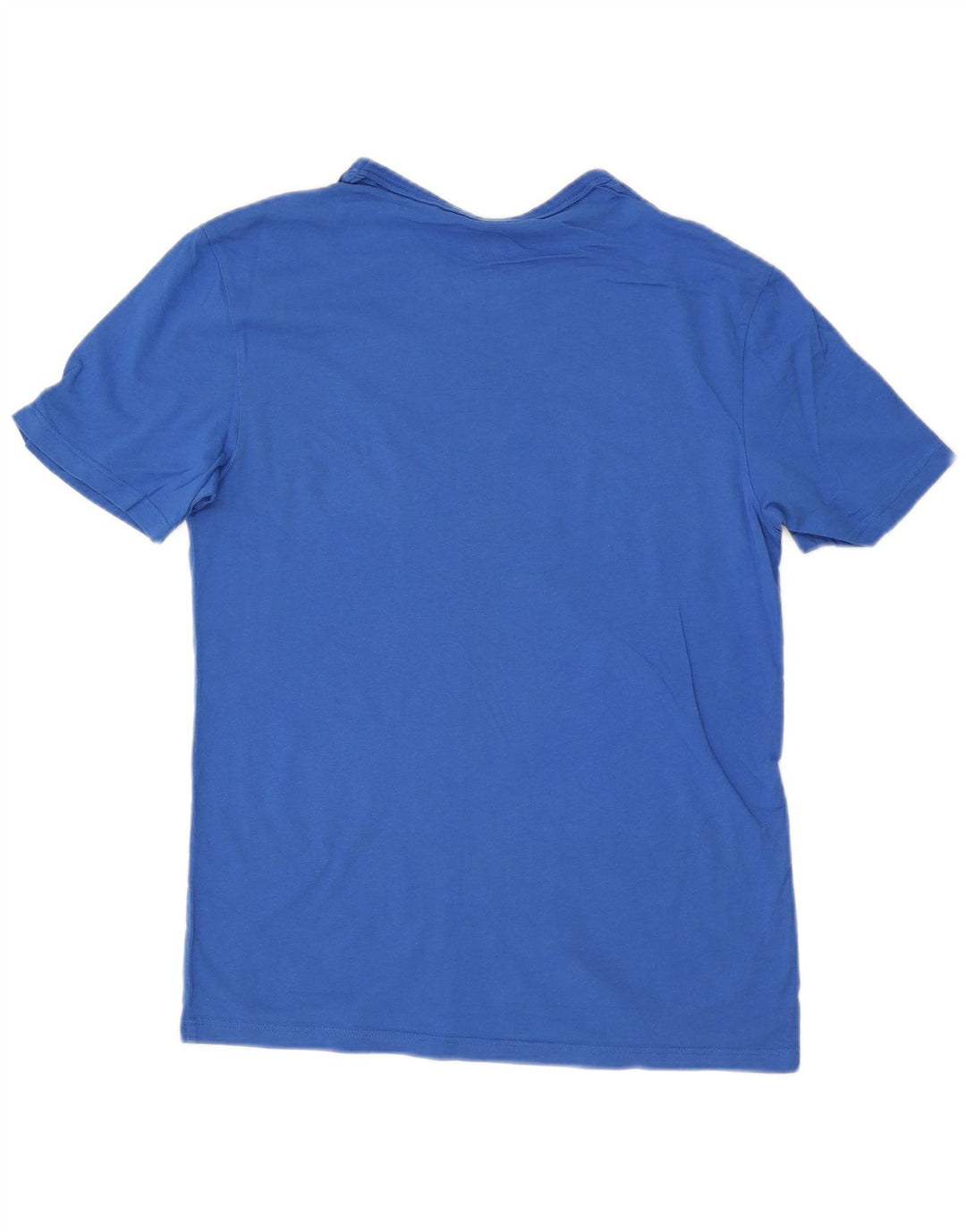 Męski T-shirt Champion z grafiką, mały, niebieski, bawełniany