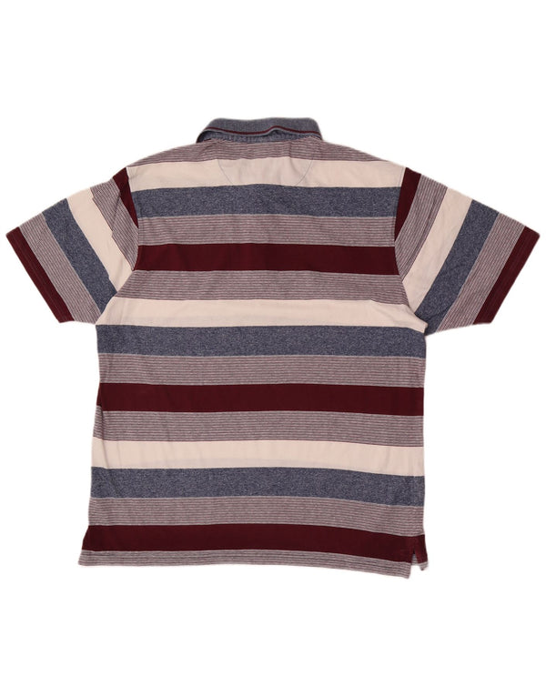 Męska koszulka polo Pierre Cardin XL, bawełniana w kolorowe paski