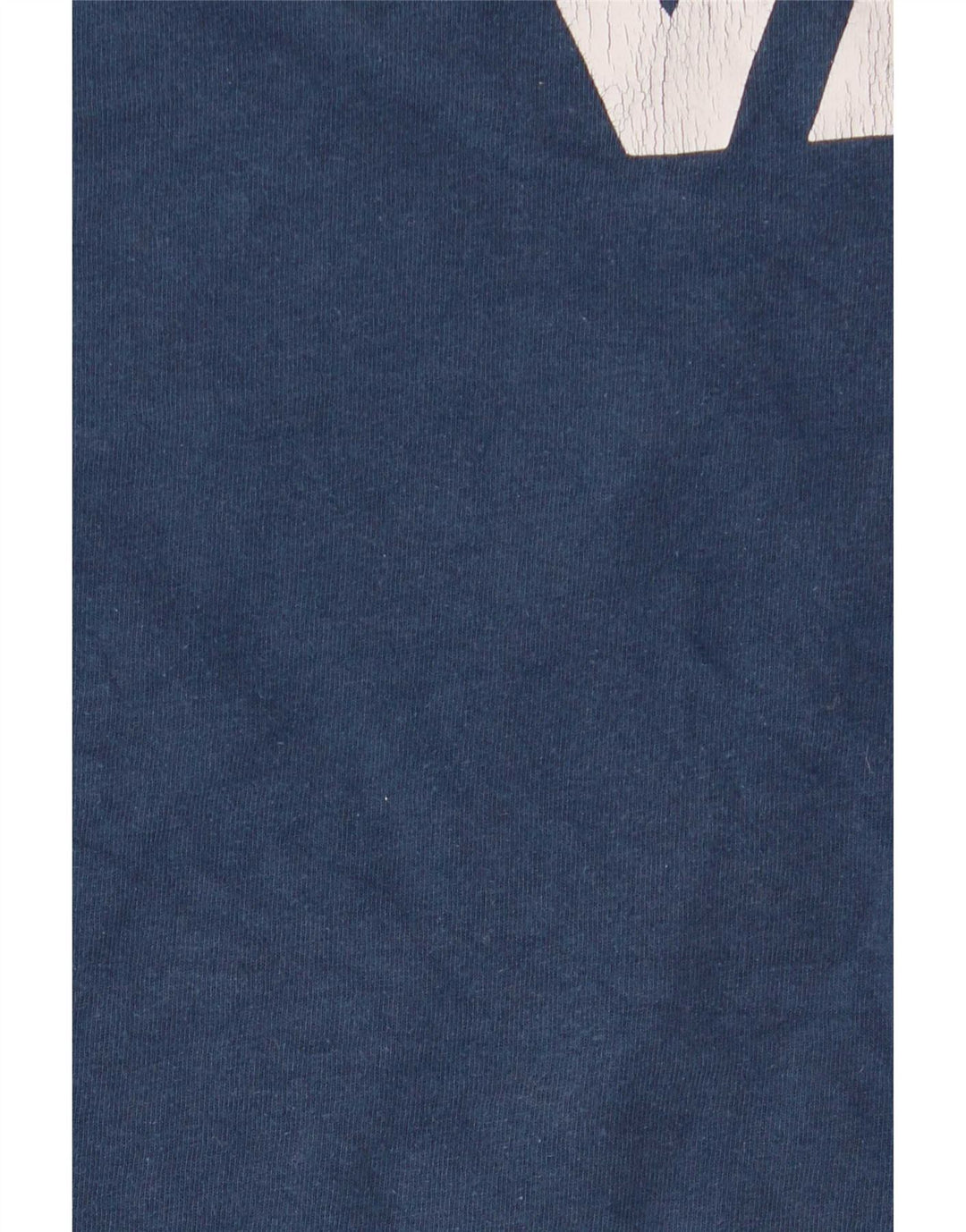 Męska koszulka z grafiką Vans, XL, niebieska, bawełniana