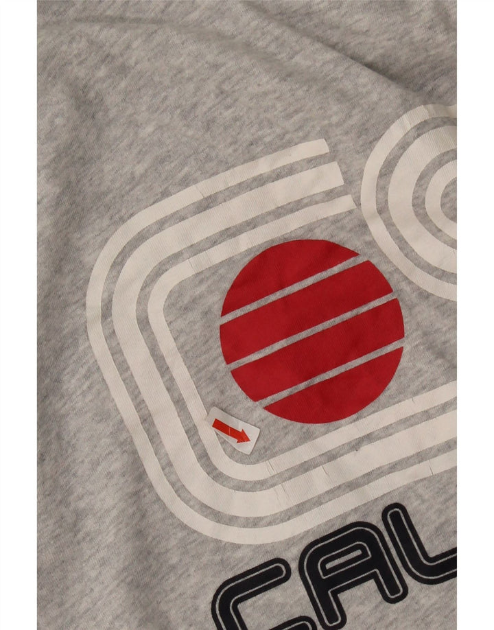 Męski T-shirt z grafiką Superdry, duży, szary, bawełniany