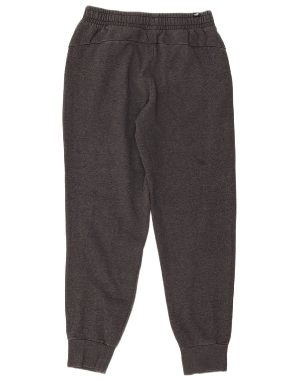 Męskie spodnie dresowe Puma Joggers, średnioszare, bawełniane
