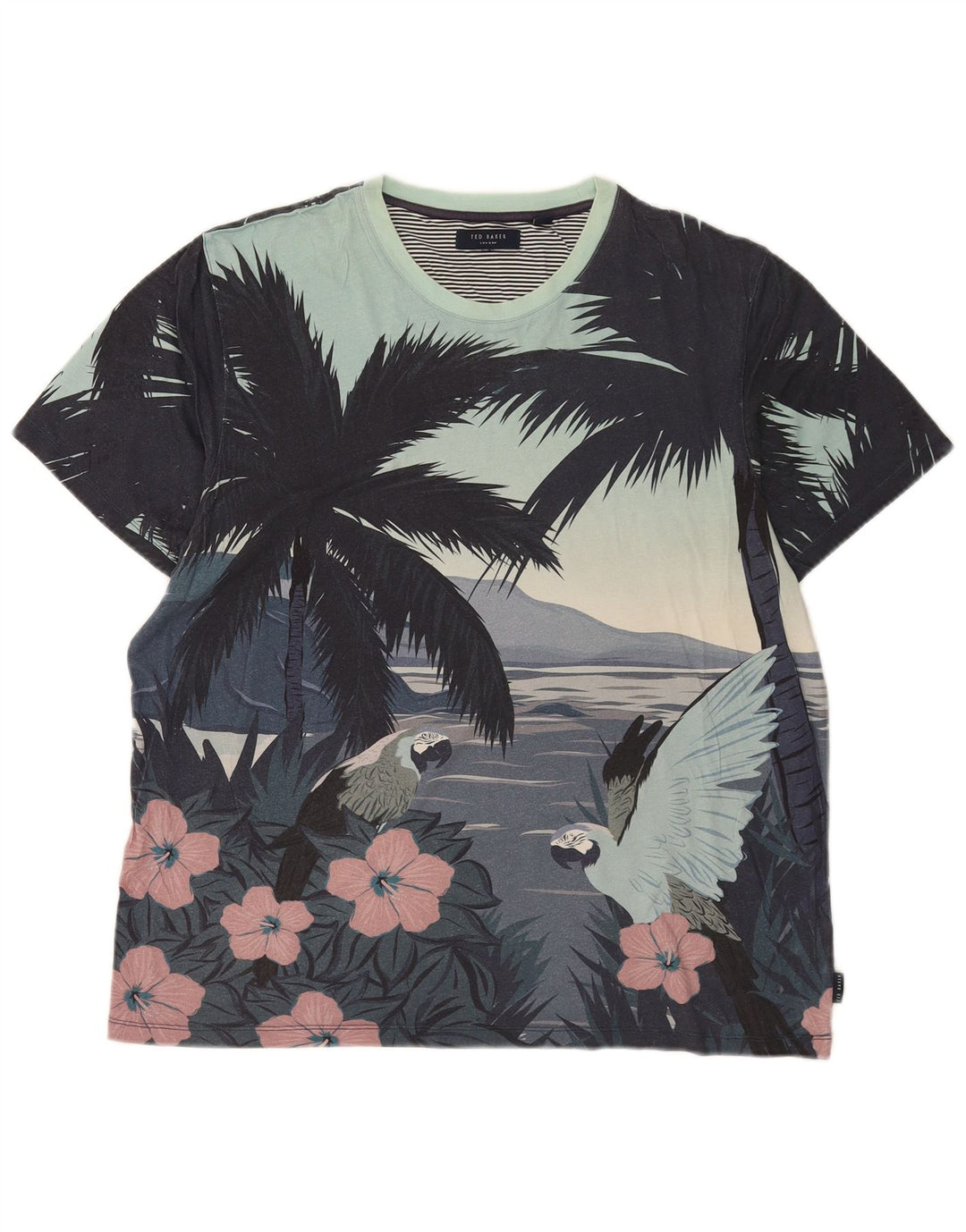 Ted Baker Męski t-shirt z grafiką, duży, wielokolorowy, bawełniany