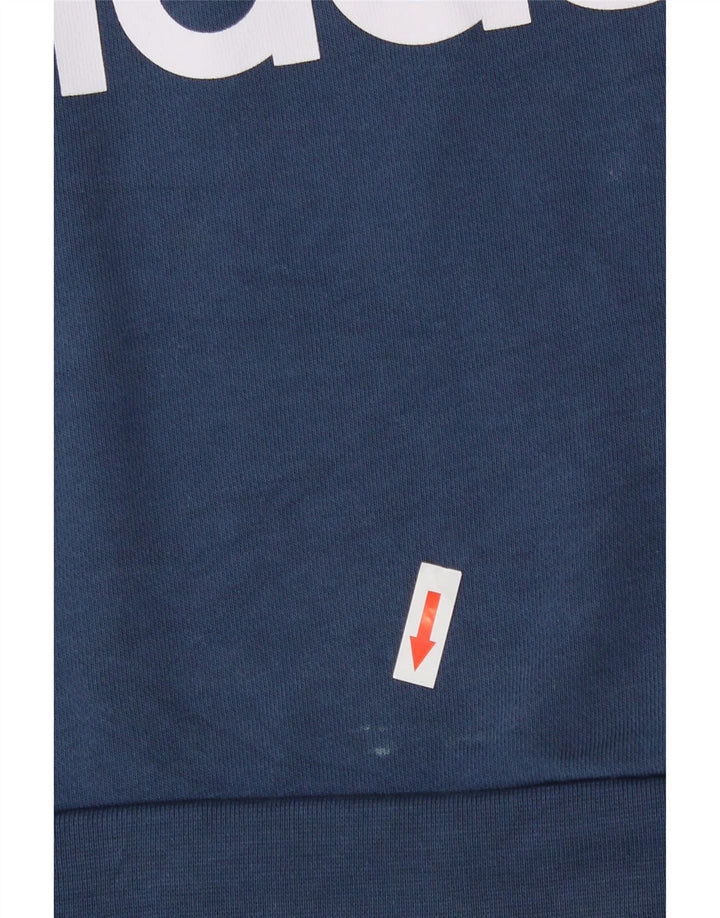 Chłopięca bluza z grafiką Adidas, 13-14 lat, niebieska bawełna