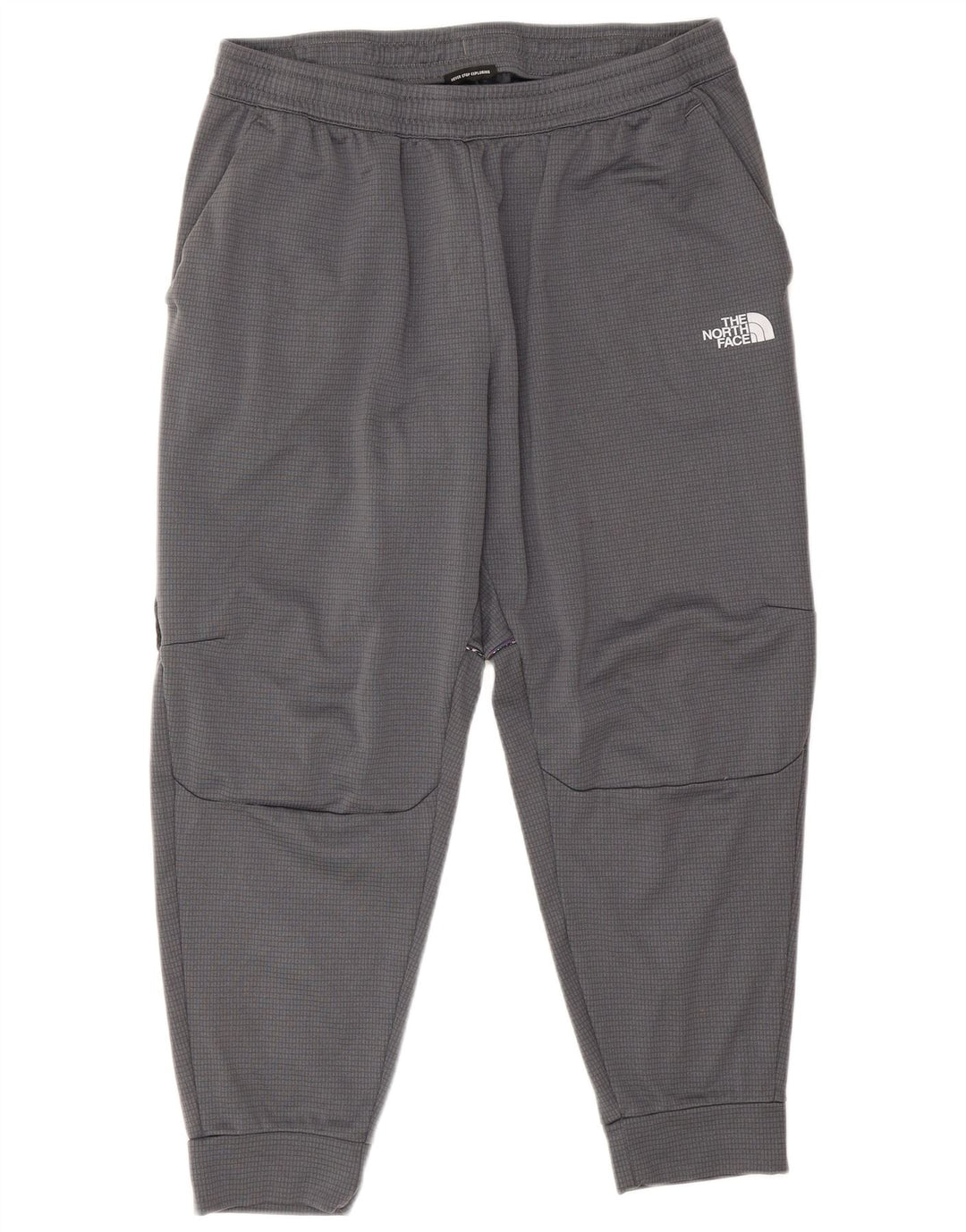 Męskie spodnie dresowe The North Face Joggers XL, szary poliester