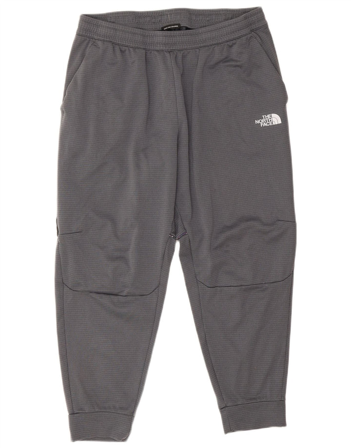 Męskie spodnie dresowe The North Face Joggers XL, szary poliester