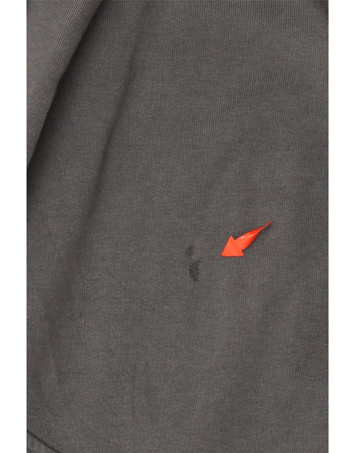 Męskie spodnie dresowe CHAMPION, duże, szare, bawełniane z blokami kolorów