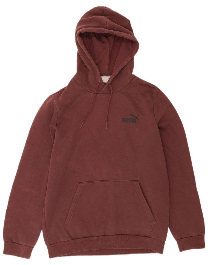 Męski sweter z kapturem Puma z grafiką, mały, brązowy, bawełniany