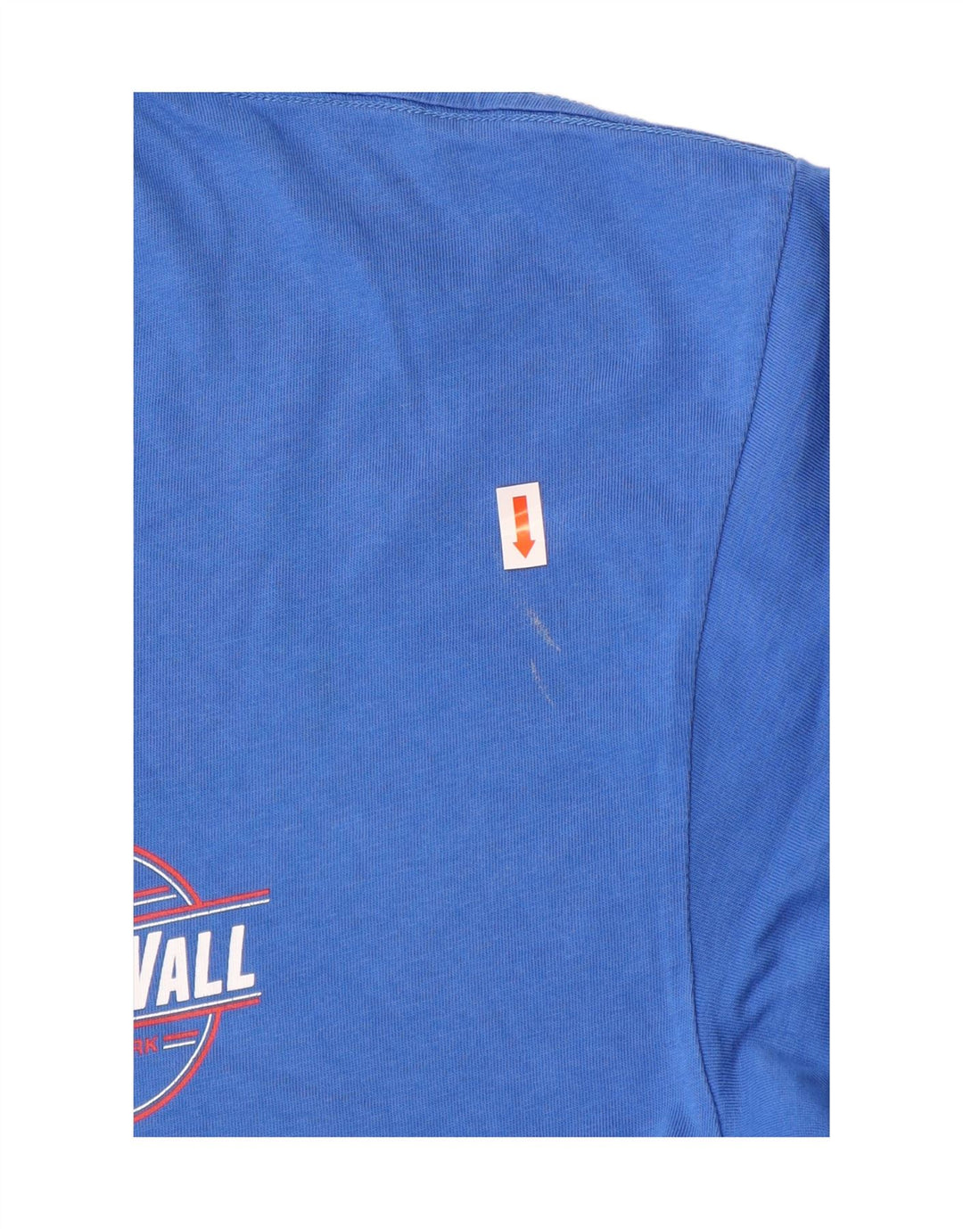 Męski T-shirt z klasycznym nadrukiem VANS, duży, niebieski, bawełniany