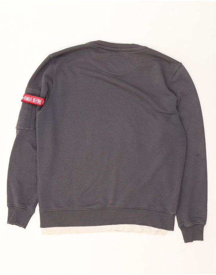 Męska bluza z grafiką Alpha Industries, mała, szara, bawełniana