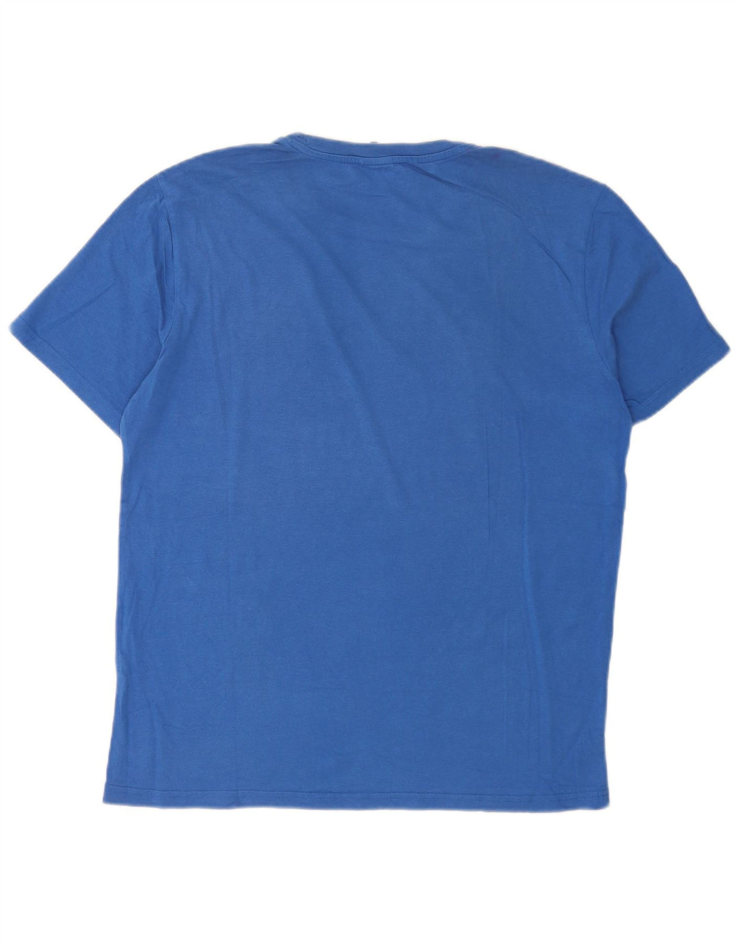 Męski T-shirt Champion z grafiką, duży, niebieski