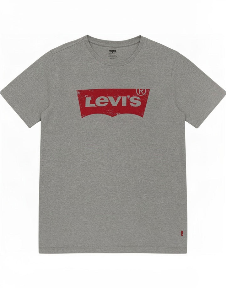 Męski T-shirt z grafiką Levi's, mały, szary, bawełniany
