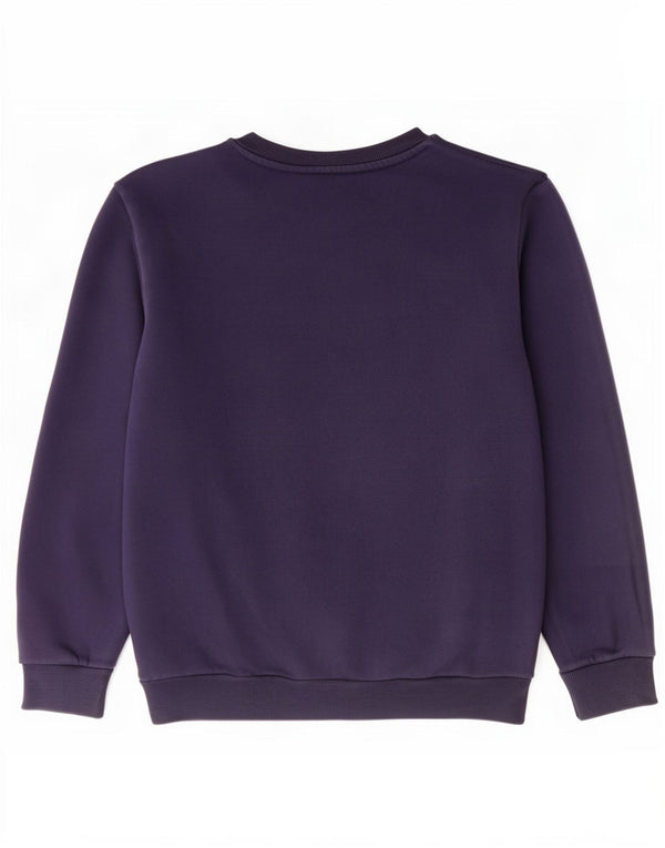 Męska bluza z grafiką Puma, mała, granatowa, bawełniana