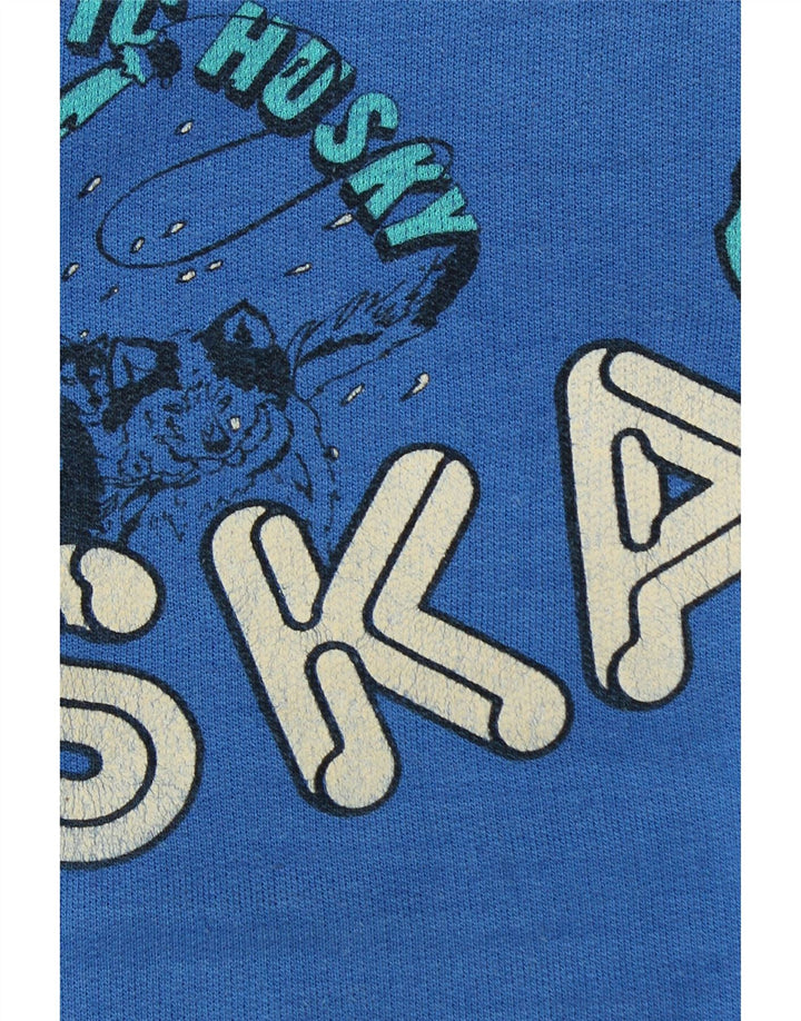 Męska bluza z grafiką Alaska, duży niebieski