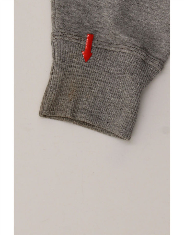Męski sweter z grafiką Champion, mały, szary, bawełniany