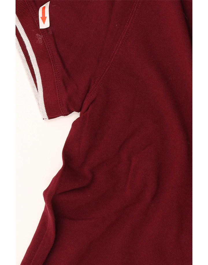 Męska koszulka polo Massimo Dutti, bawełniana w średnie bordowe paski