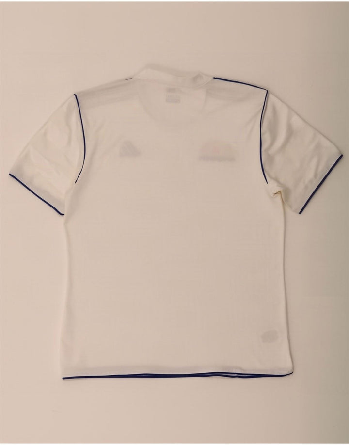 Męska koszulka Adidas Climalite Top, średnia, biała, poliestrowa w prążki