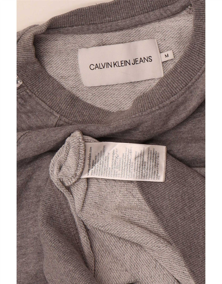 Męska bluza z grafiką Calvin Klein Jeans, średnioszara, bawełniana