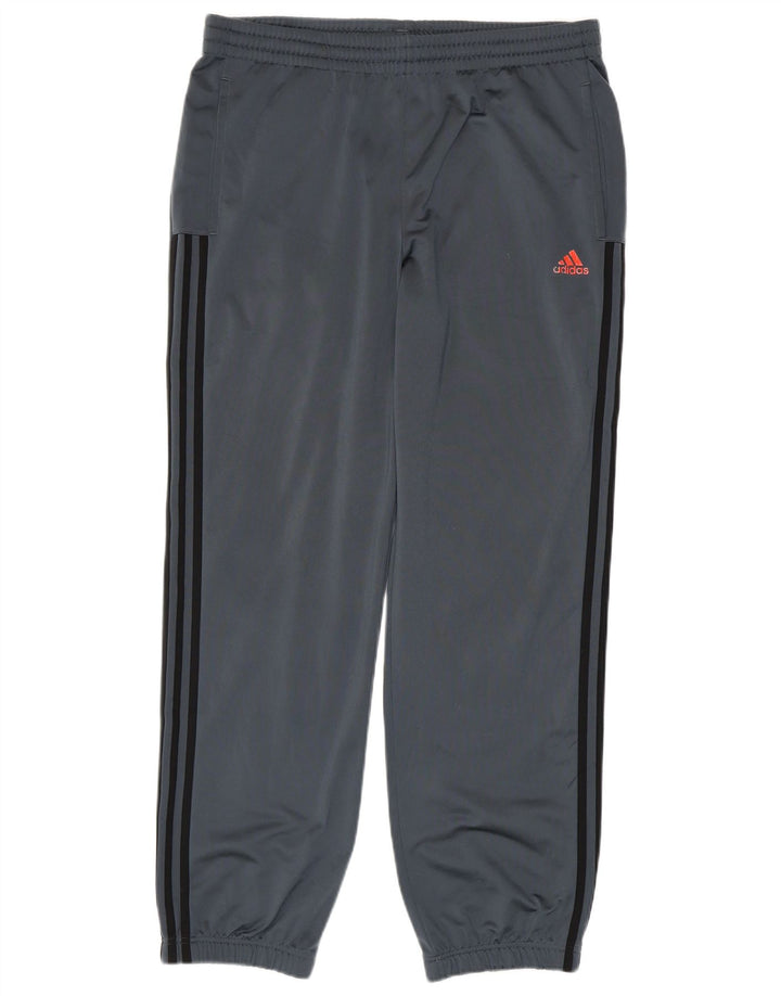 Męskie spodnie dresowe ADIDAS Joggers UK 44/46, duży, szary poliester