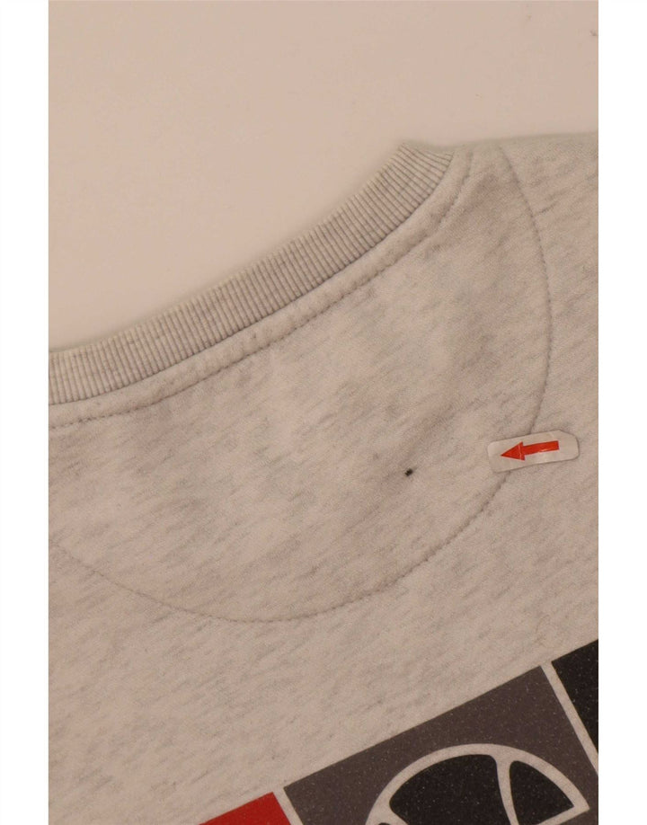Męska bluza z grafiką Ellesse, mała, szara, nakrapiana, poliester