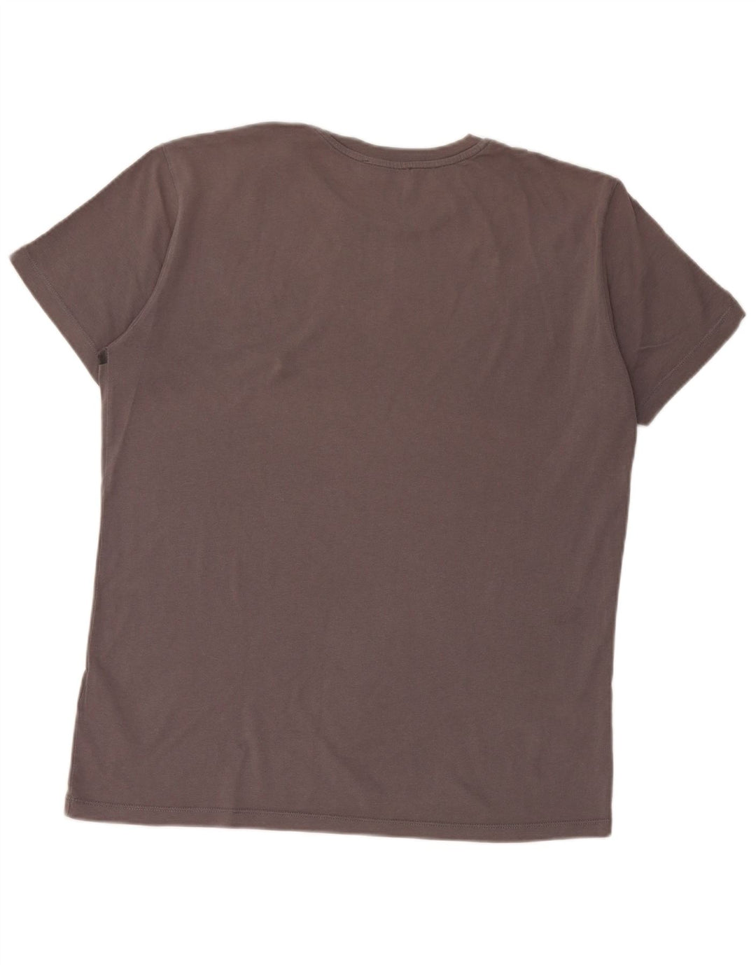 Męski T-shirt z grafiką Trussardi, duży, szary, bawełniany
