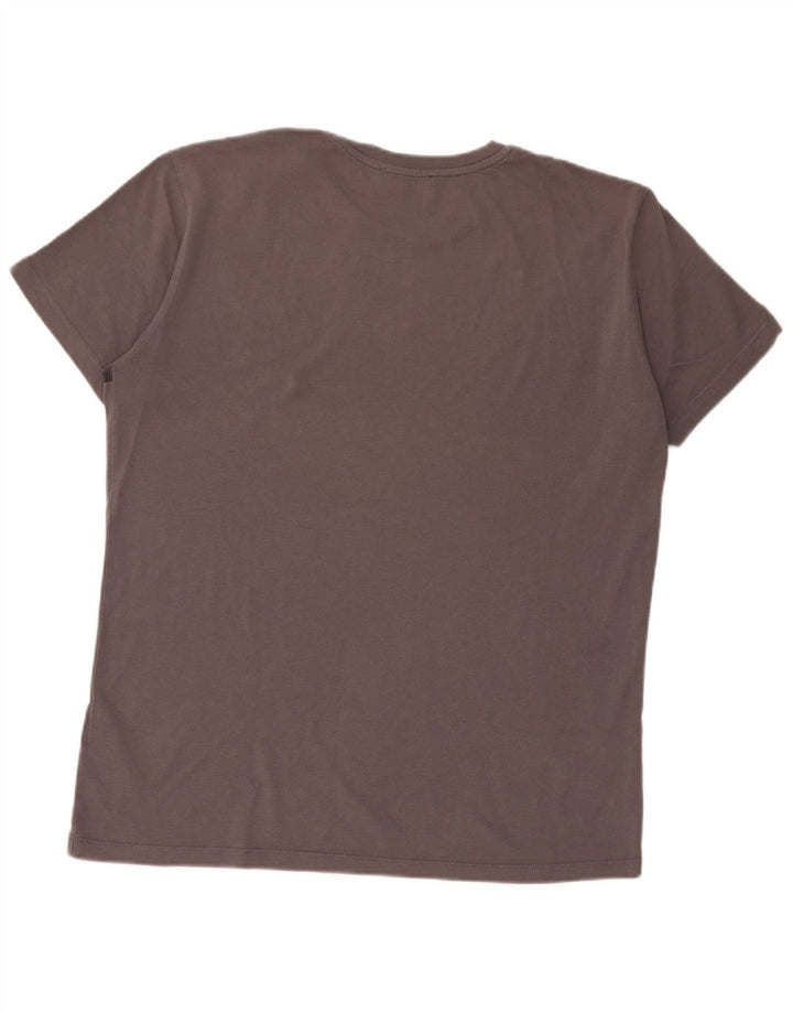 Męski T-shirt z grafiką Trussardi, duży, szary, bawełniany