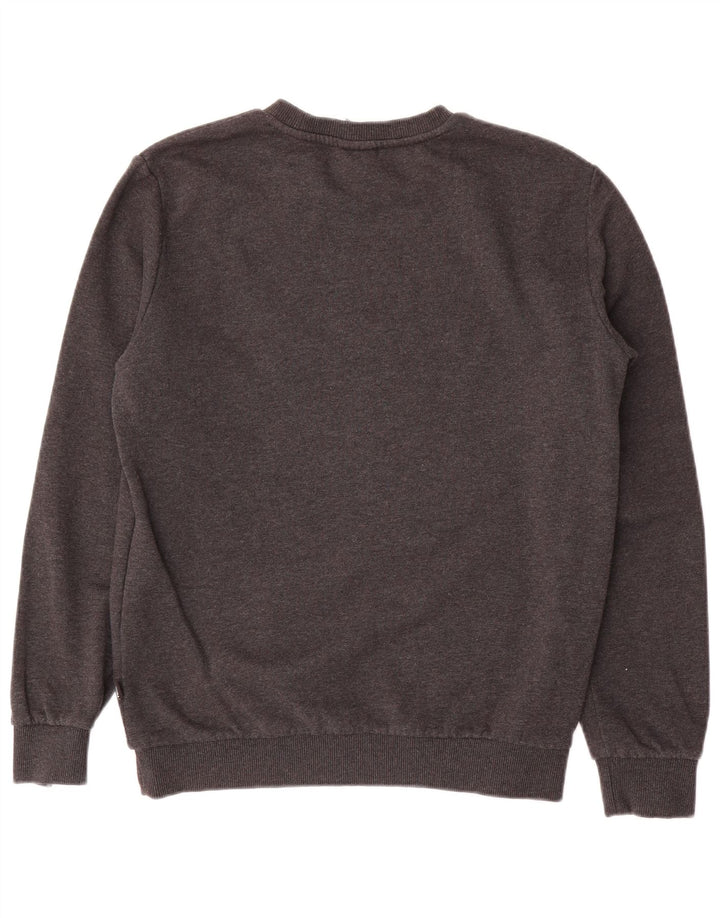 Męska bluza Puma Sweter, mała, szara, bawełniana