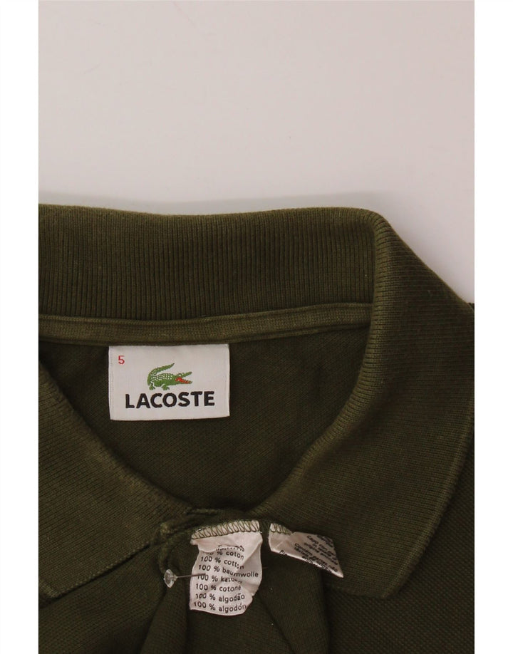 Męska koszulka polo LACOSTE, rozmiar 5, duża, bawełniana khaki