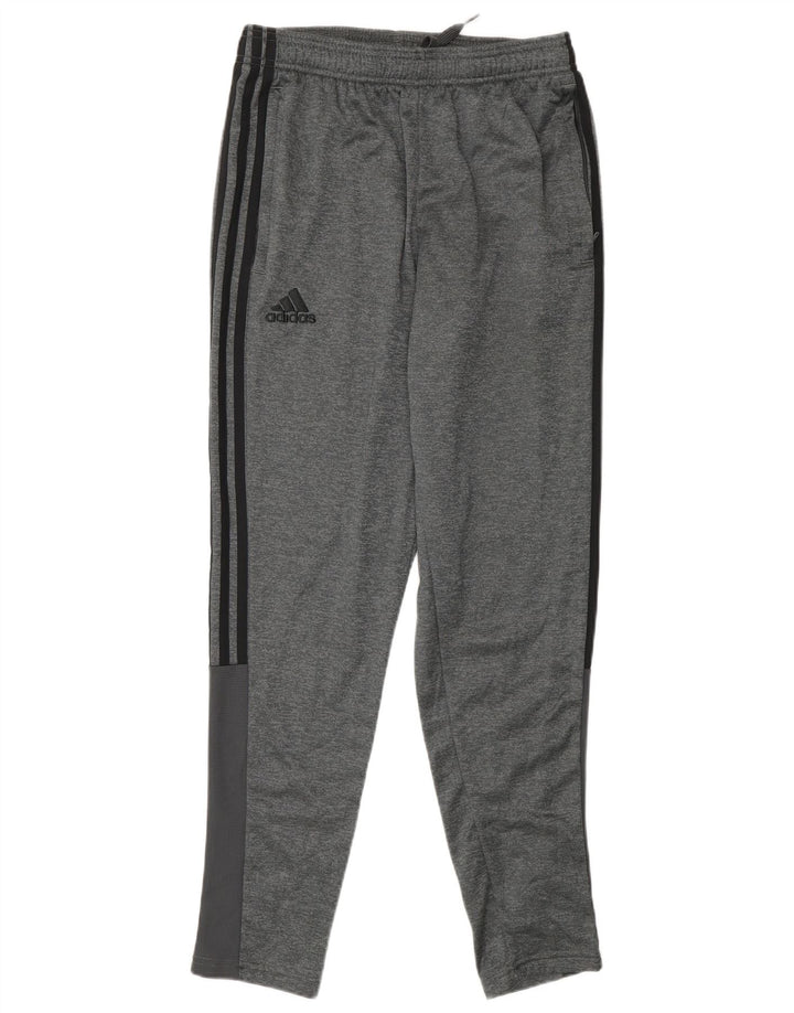 Męskie spodnie dresowe Adidas, małe, szare, poliestrowe
