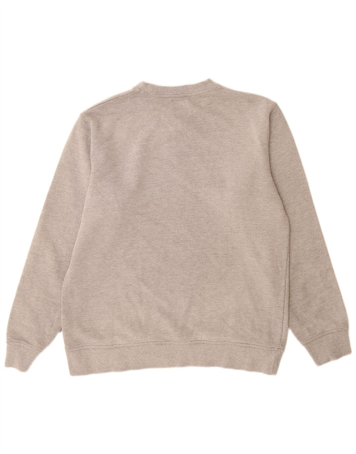 Męska bluza z grafiką Dickies, duża, szara bawełna