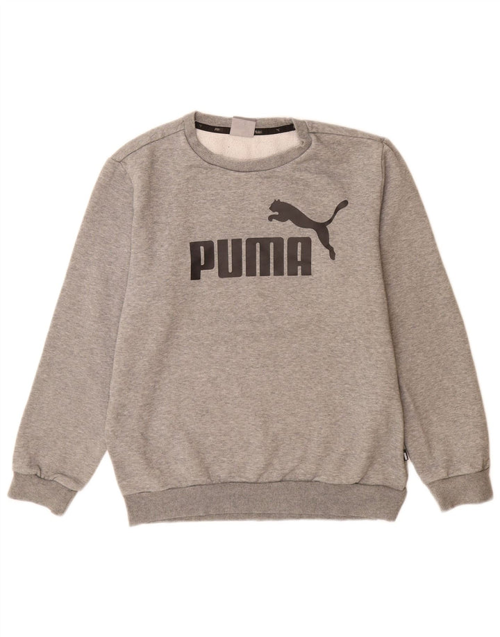 Męska bluza z grafiką Puma, mała, szara, nakrapiana bawełna