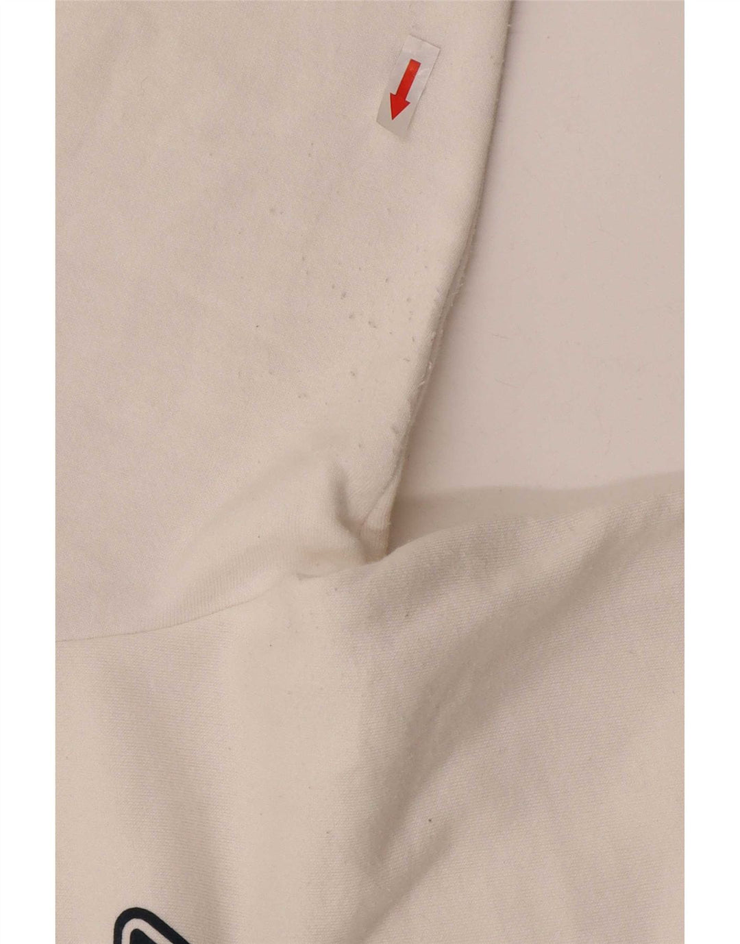 Chłopięca bluza z grafiką Dickies 11-12 lat, biała bawełna