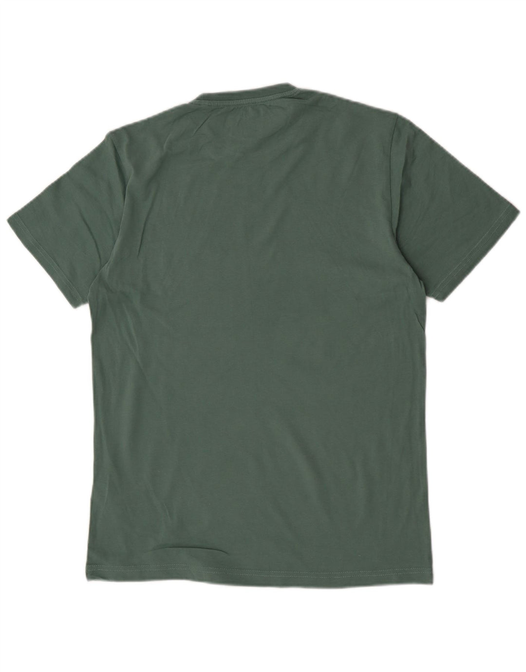 Męski T-shirt z grafiką Pingwin, duży, zielony, bawełniany