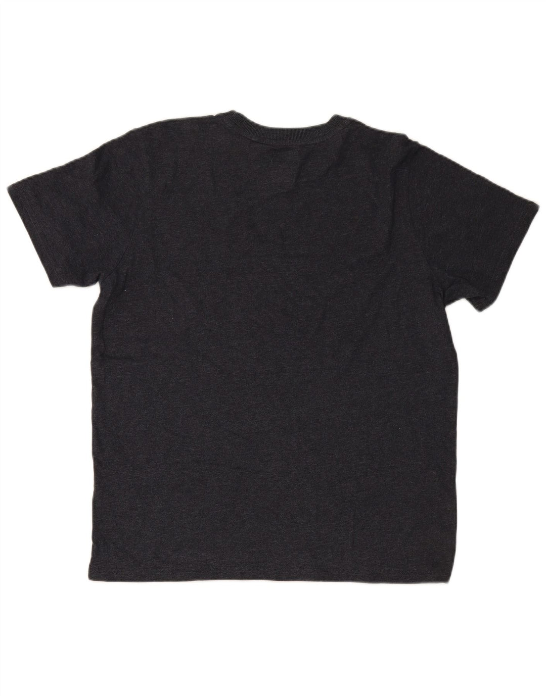 Męski T-shirt SUPERDRY z grafiką, XL, szary