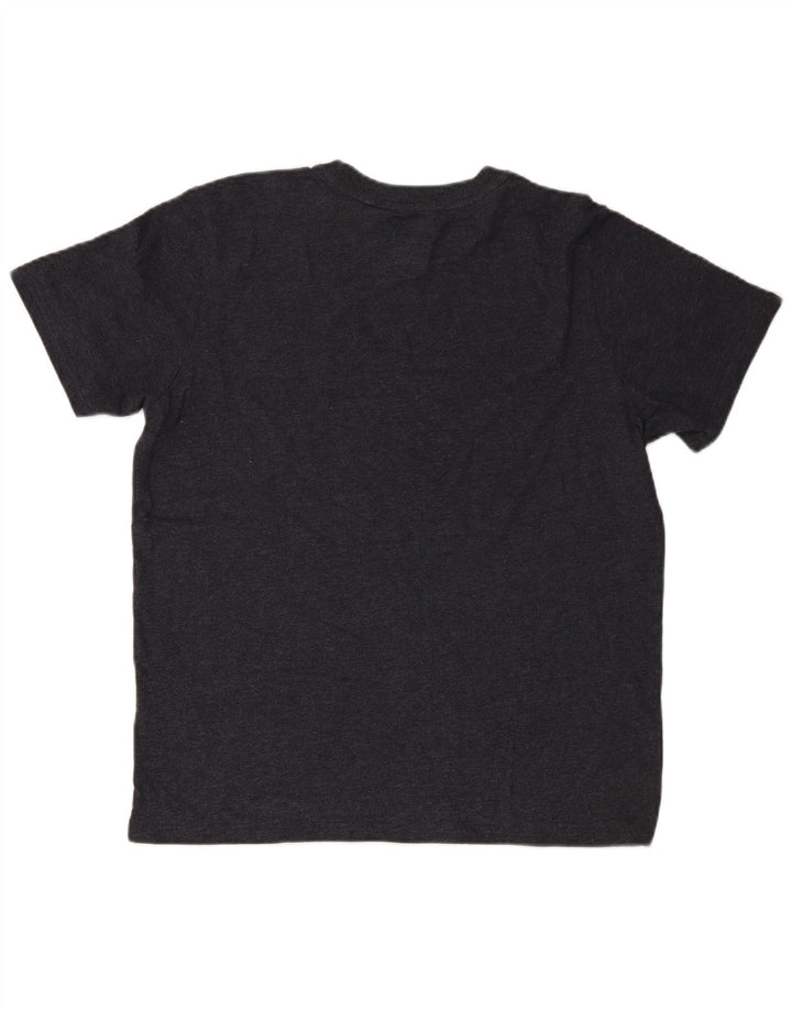 Męski T-shirt SUPERDRY z grafiką, XL, szary