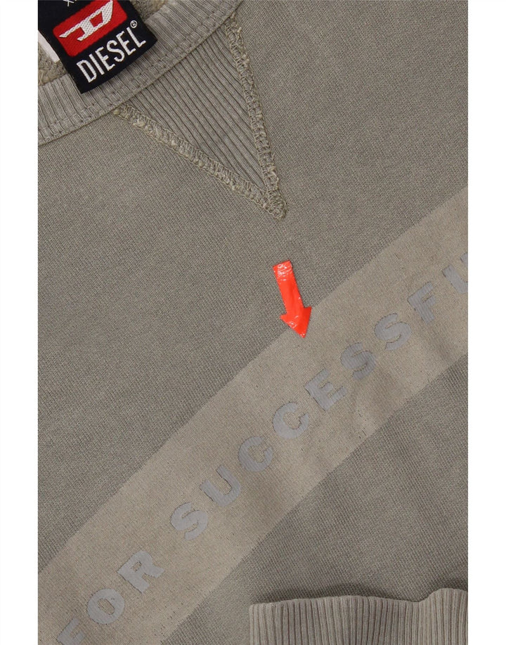 Męska bluza z grafiką Diesel XL, szara