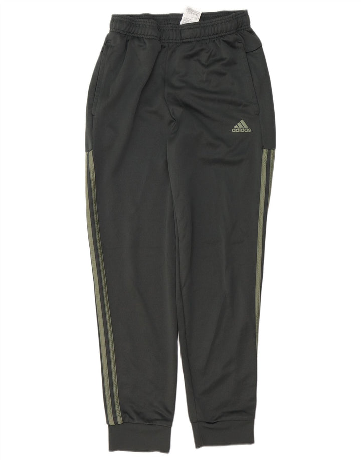 Adidas Męskie spodnie dresowe Joggery Małe Khaki Poliester