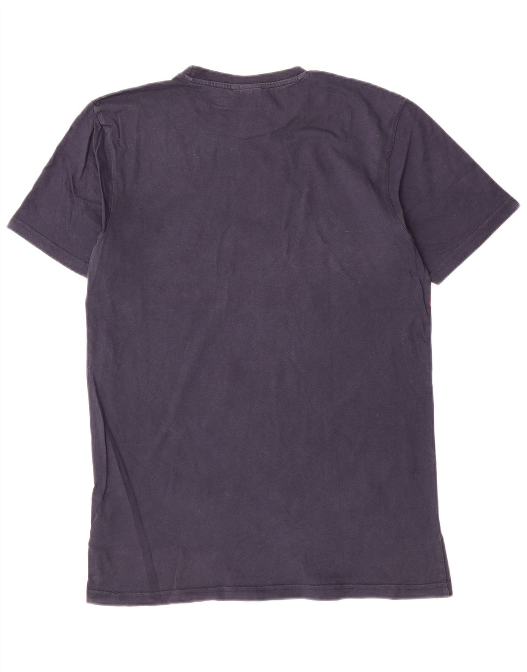 Męska koszulka z grafiką Ellesse Top, średnia, granatowa bawełna