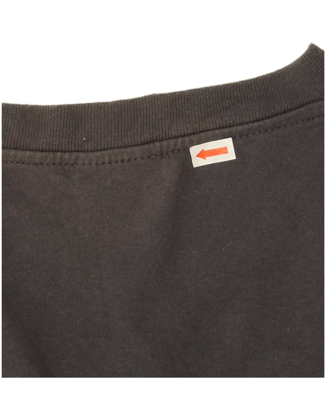 Koszulka męska Champion XL, szara