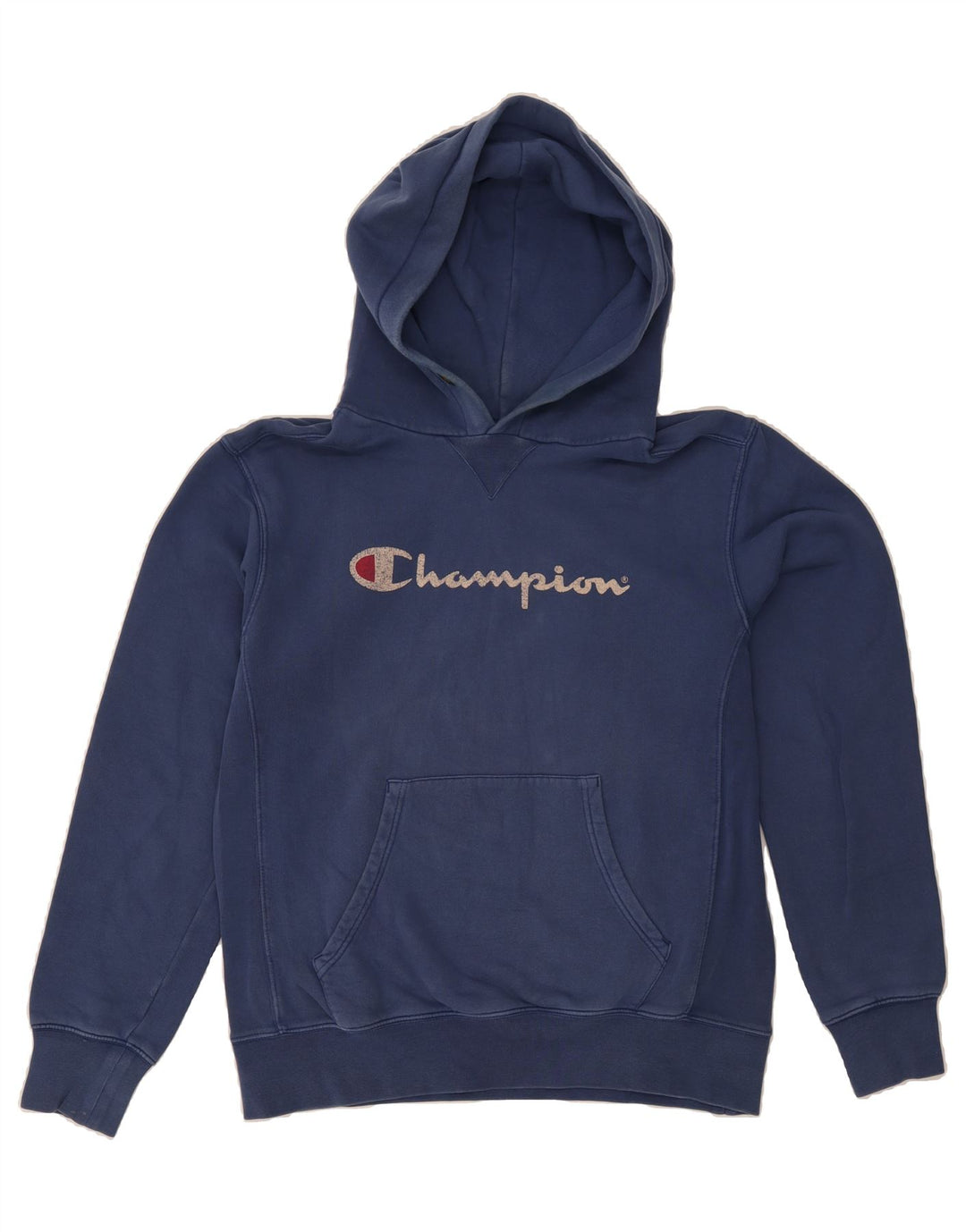 CHAMPION Mens Graphic Hoodie Jumper Large Navy Blue Vintage Champion and Second-Hand Champion from Messina Hembry 
