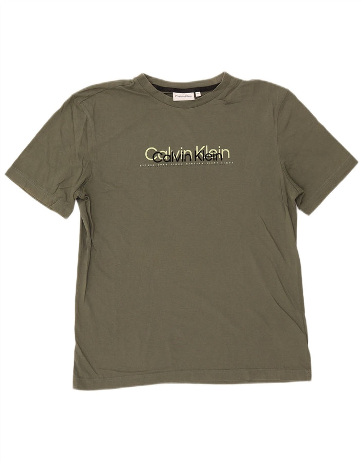 Męska koszulka z grafiką Calvin Klein, średnia, bawełniana khaki