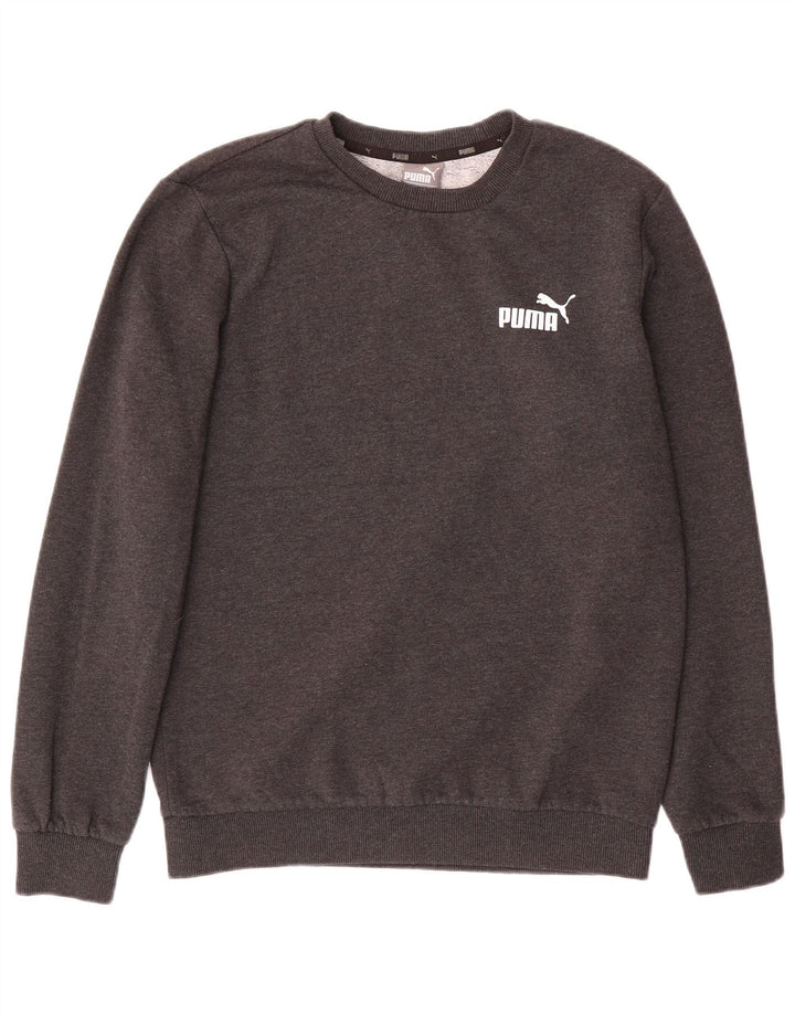 Męska bluza Puma Sweter, mała, szara, bawełniana