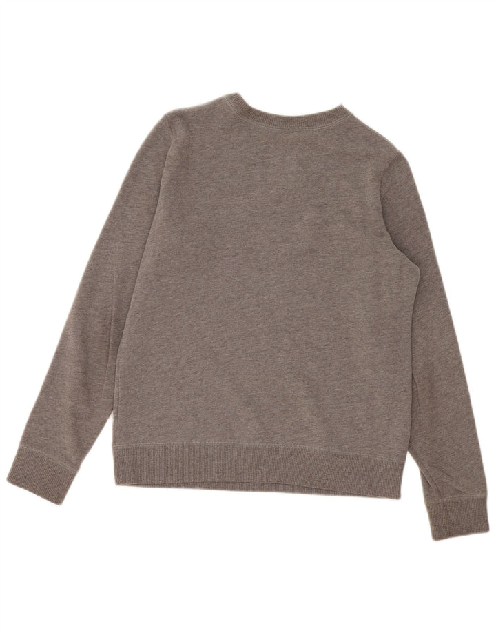 Męska bluza z grafiką Hollister, mała, szara, bawełniana