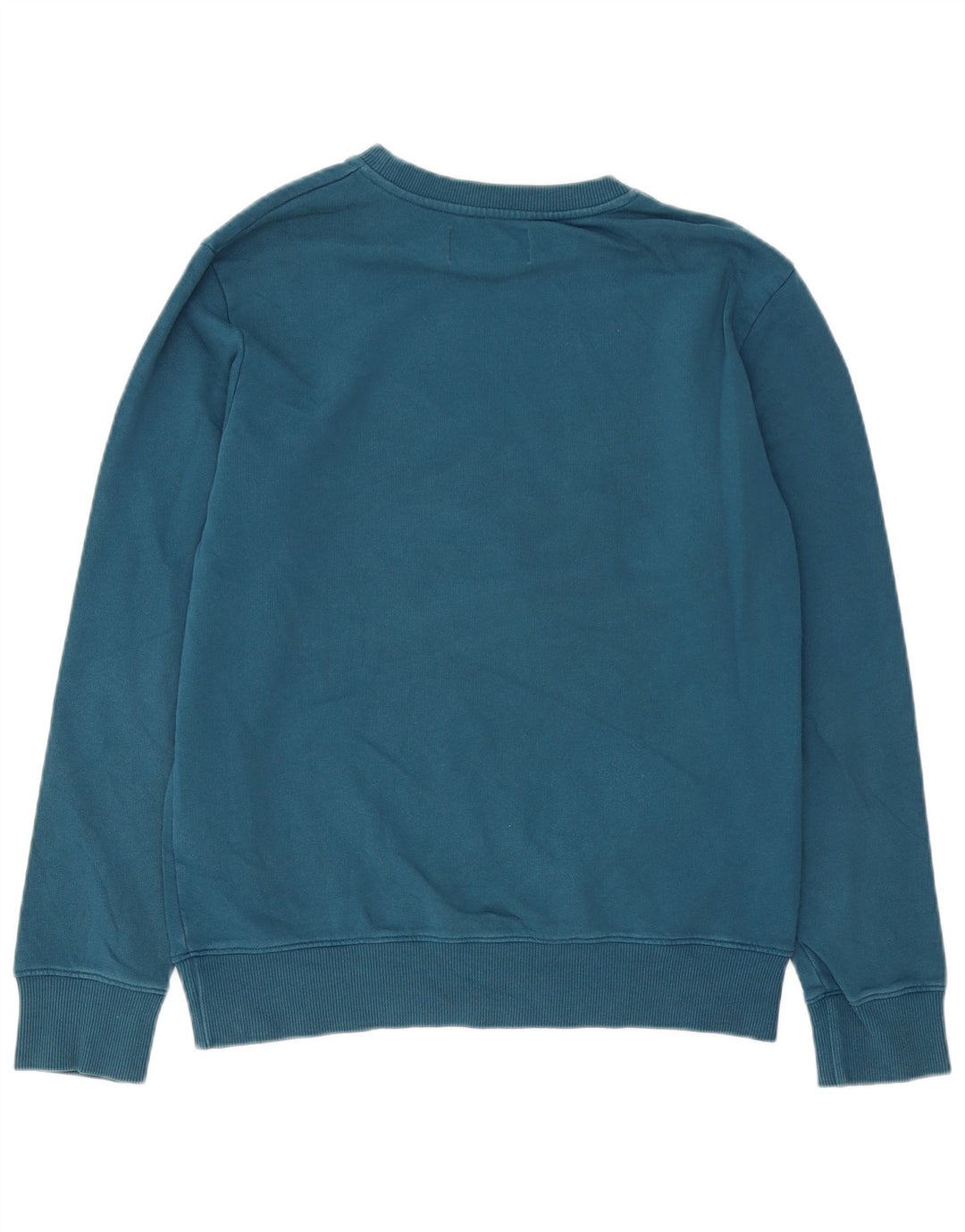 Męska bluza z grafiką Calvin Klein Jeans, średnioniebieska, bawełniana