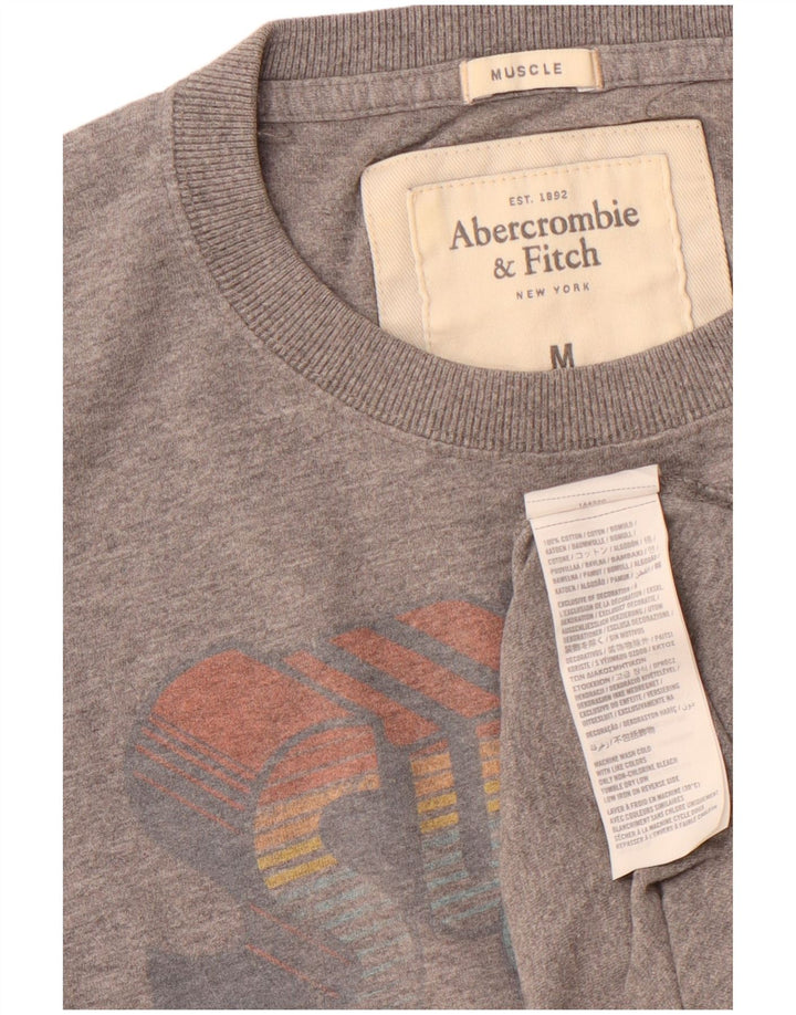 Męski T-shirt z grafiką ABERCROMBIE & FITCH Top, średnioszary, bawełniany