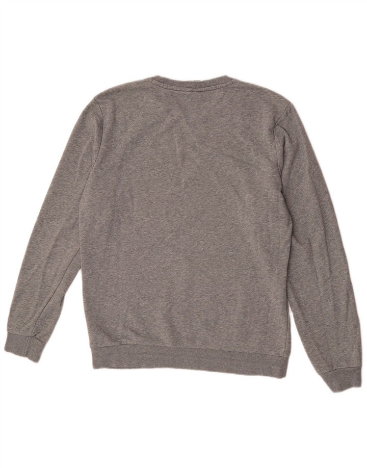 Męska bluza z grafiką Puma, duża, szara, bawełniana