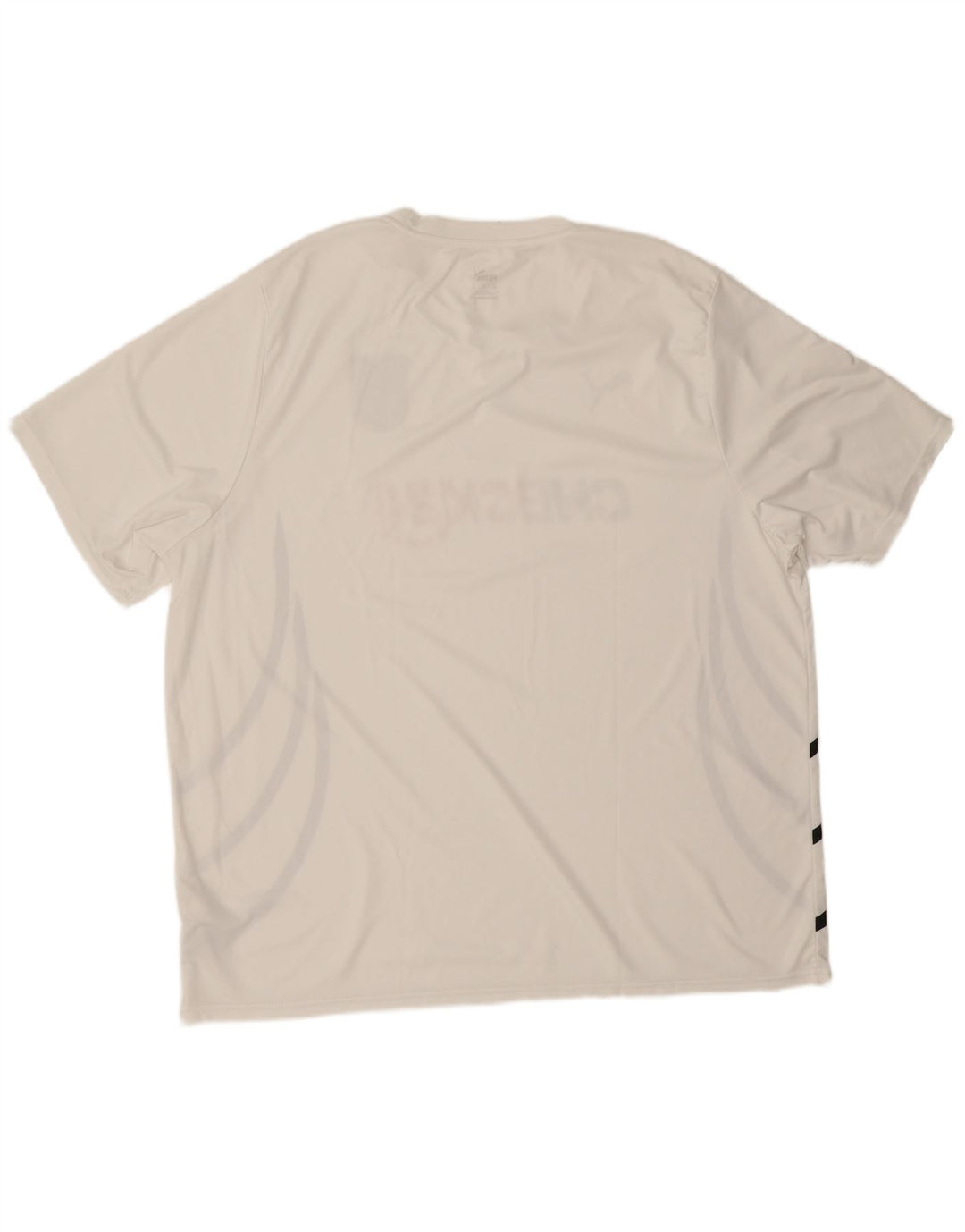 Męska koszulka Puma Deutshland z grafiką, 3XL, biały poliester