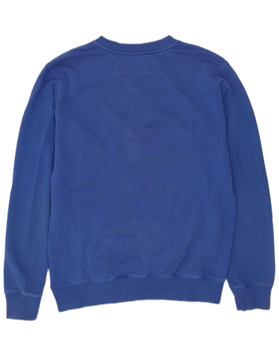 Męska bluza z grafiką Calvin Klein Jeans, średnioniebieska, bawełniana